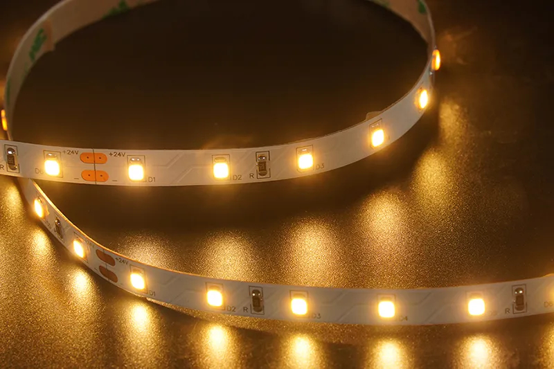 2835 60LEDS/M 24 V 8mm