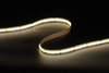 COB 480 LEDs/m 24 V 10mm Cri> 90