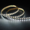 3014 240LEDS/M CCT 12V 8 mm