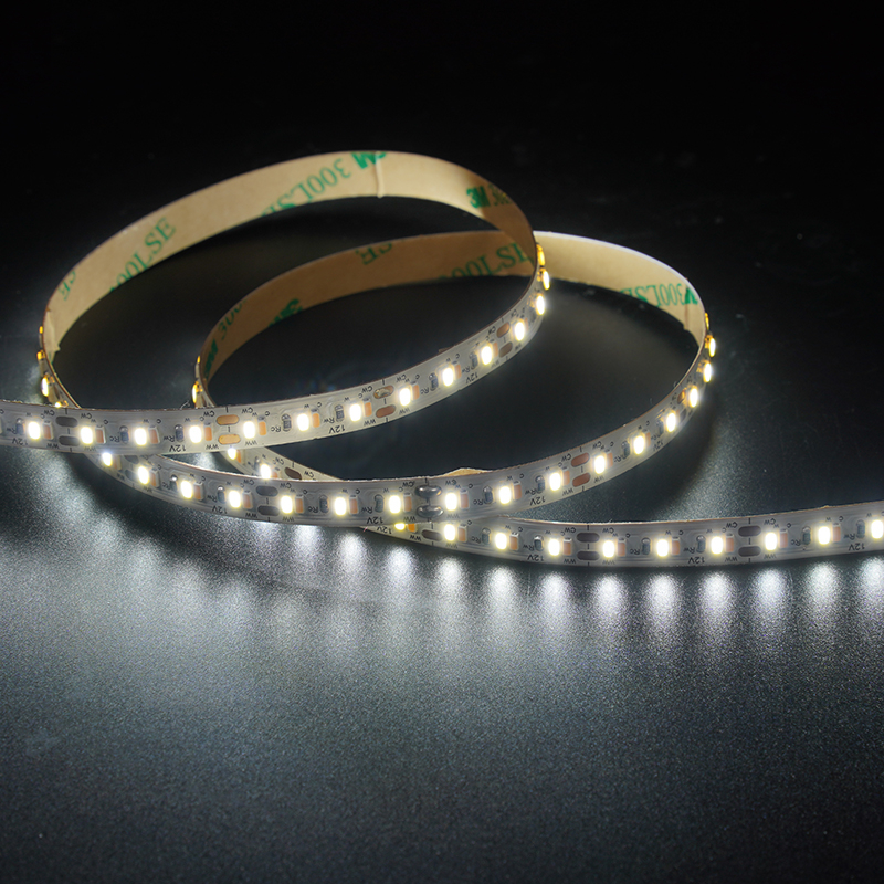 3014 240LEDS/M CCT 12V 8 mm