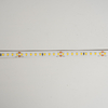 2835 144leds/m 24 V 10 mm