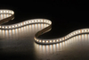 2216 252LEDS/M CCT 24 V 10 mm