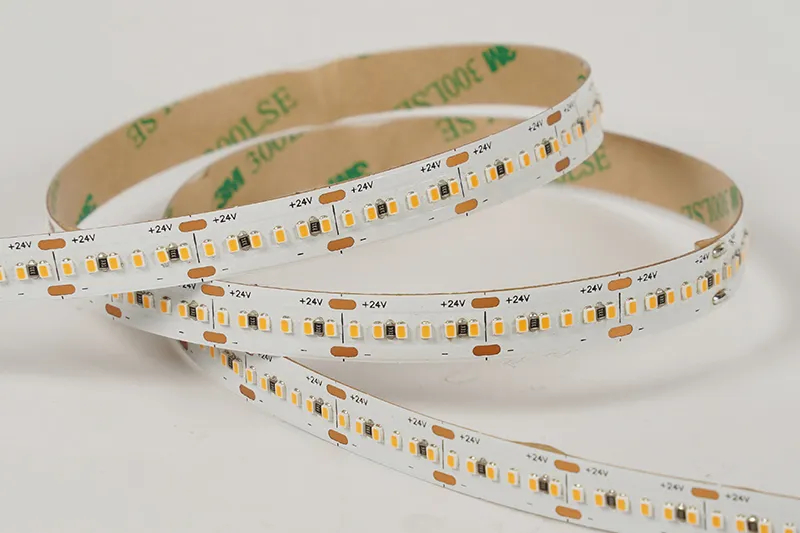 2216 300LEDS/M 24 V 10 mm