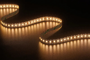 2835 120LEDS/M 24 V 10 mm （s Form)