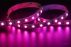 5050 60LEDS/M RGBW 24 V 12 mm konstanter Strom