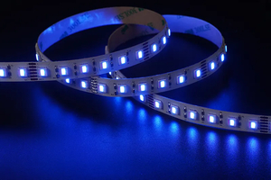 5050 5in1 84LEDS/M RGBCCT 24 V 12 mm