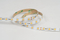5050 60LEDS/M 24 V 10 mm konstanter Strom