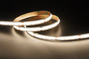 COB 640LEDS/M CCT 24 V 10 mm