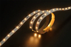 3014 70LEDS/M 24 V 10 mm konstanter Strom