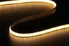 COB 320LEDS/M 24 V 5 mm cri ≥ 90