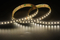 3014 120LEDS/M 24 V 10 mm
