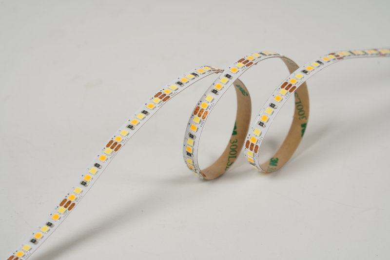 2835 192LEDS/M CCT 12V 8 mm