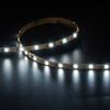 2835 144leds/m cct 24 V 5 mm