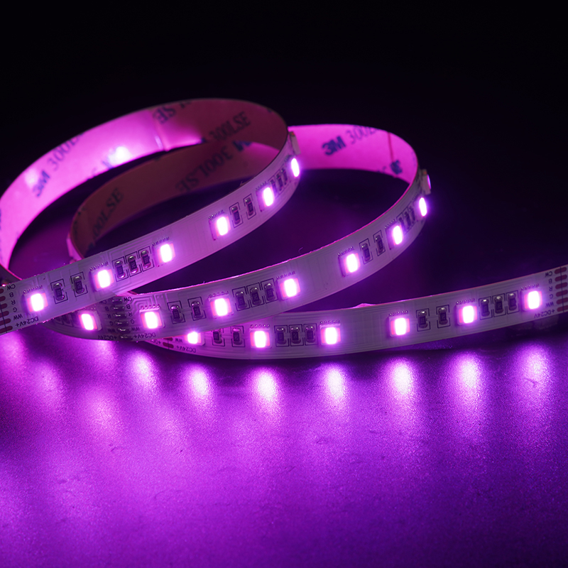 5050 5in1 60LEDS/M RGBCCT 24 V 12 mm