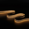 2216 264leds/m cct 8mm 24 V