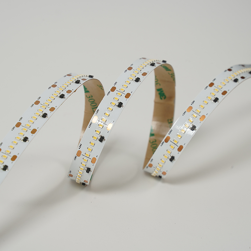 2216 300LEDS/M HL 24 V 12 mm