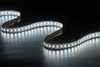 2216 252LEDS/M CCT 24 V 10 mm