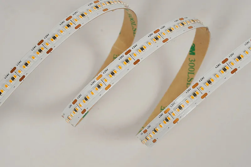 2216 300LEDS/M 24 V 10 mm