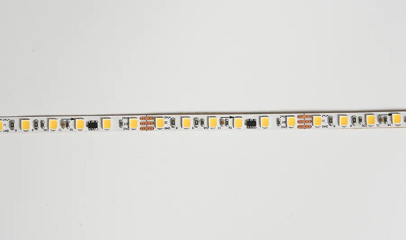 2835 120LEDS/M 1903 24V 5 mm