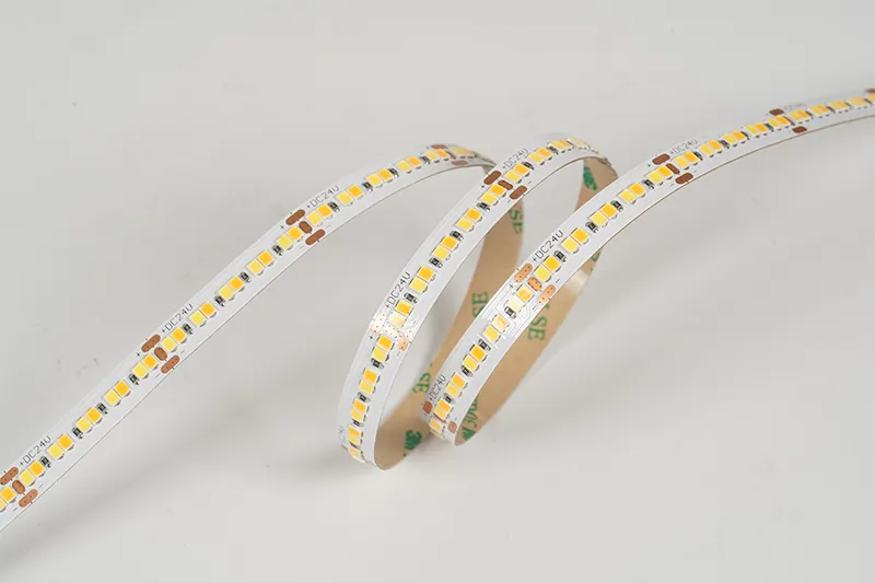 2835 240LEDS/M CCT 24 V 10 mm