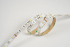 5050 60LEDS/M RGB+W 24V 12 mm
