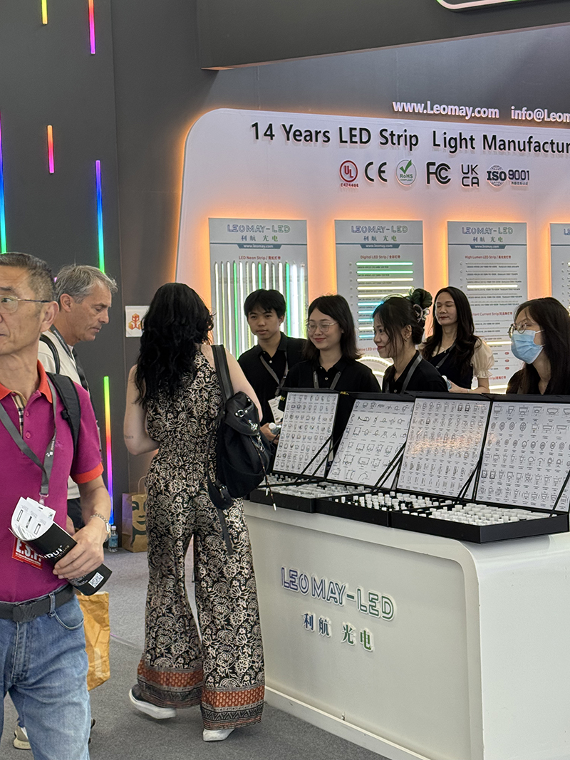 2025 Guangzhou International Lighting Ausstellung (3)