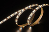 2835 168LEDS/M CCT 12V 8 mm
