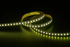 5050 4in1 120LEDS/M RGBW 24 V 12 mm