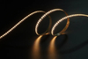 2835 228leds/m 12V 8mm