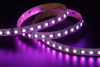 5050 4in1 84LEDS/M RGBW 24 V 12 mm