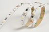 5050 5in1 60LEDS/M RGBCCT 1906 24 V 12 mm