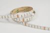 5050 5in1 96LEDS/M RGBCCT 24 V 12 mm
