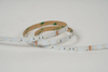 3838 70LEDS/M RGB 24 V 8 mm