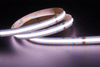 COB 560LEDS/M RGBW 24 V 12 mm cri ≥ 90