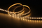 2216 120LEDS/M 12V 5 mm