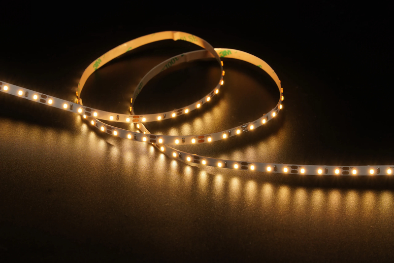 2216 120LEDS/M 12V 5 mm