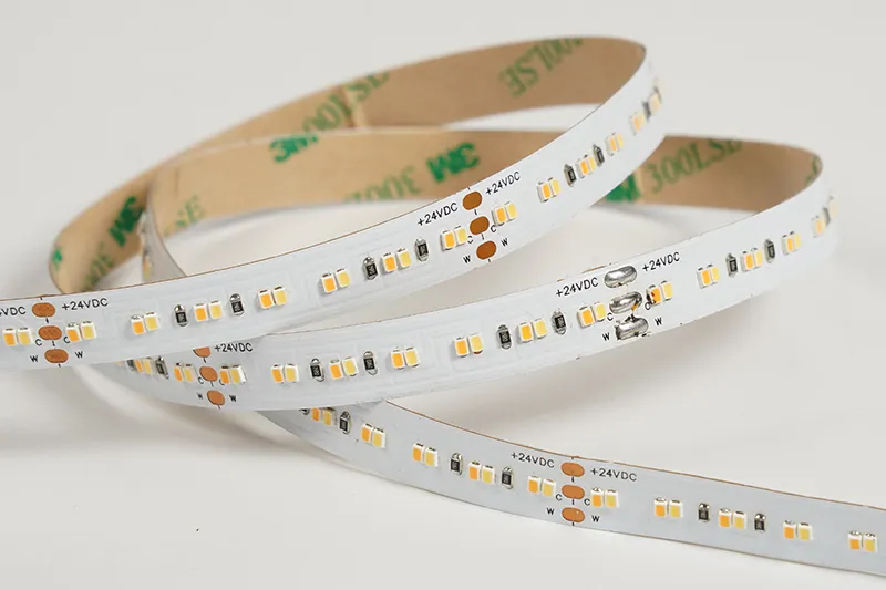 2216 252LEDS/M CCT 24 V 10 mm