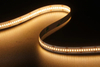 2216 300LEDS/M 24 V 10 mm