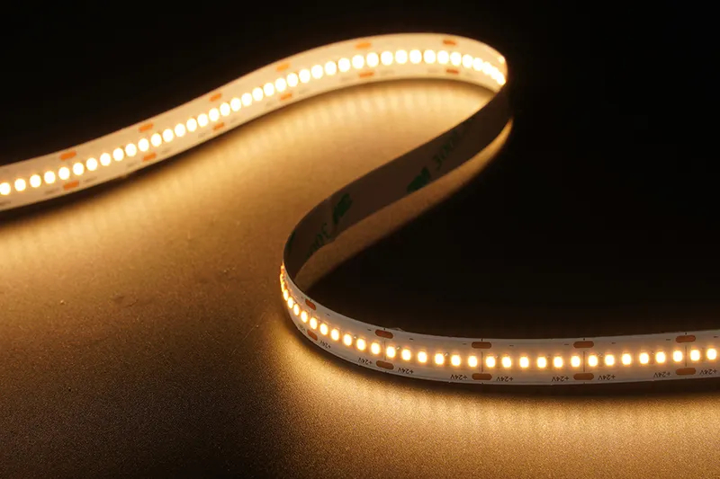 2216 300LEDS/M 24 V 10 mm