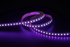 5050 4in1 120LEDS/M RGBW 24 V 12 mm