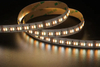 5050 5in1 96LEDS/M RGBCCT 24 V 12 mm
