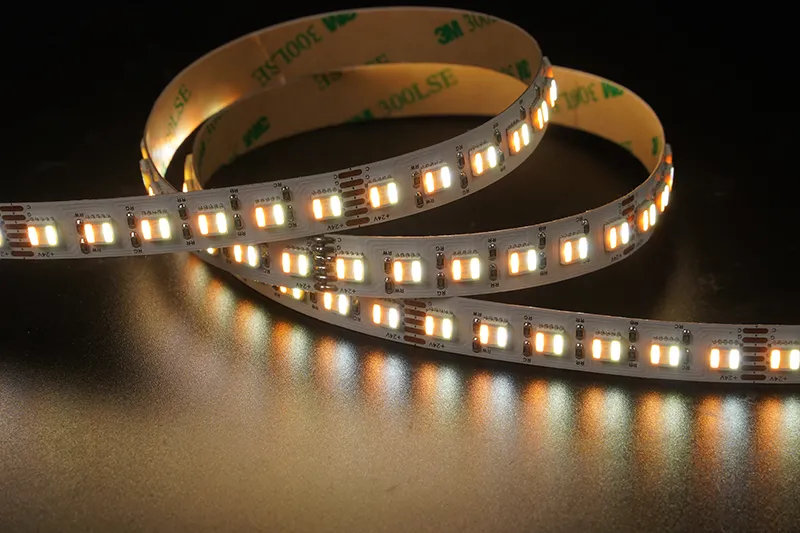 5050 5in1 96LEDS/M RGBCCT 24 V 12 mm