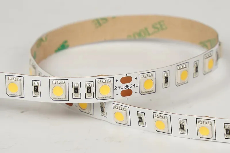 5050 60LEDS/M 24 V 10 mm