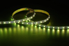3838 70LEDS/M RGB 24 V 8 mm