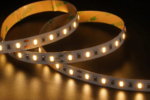 5730 60LEDS/M 24 V 12 mm