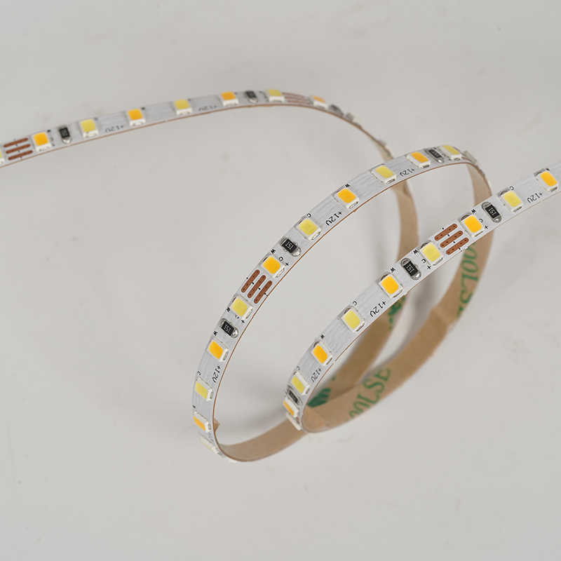 2835 120LEDS/M CCT 12V 5 mm