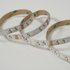 4040 96LEDS/M 4in1 RGBW 24 V 10 mm