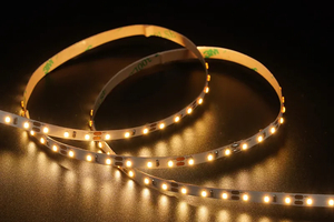 2216 120LEDS 12 V 5 mm