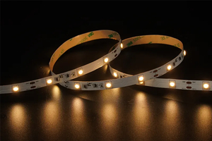 5050 30LEDS/M 12 V 10 mm konstanter Strom