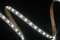 5050 60LEDS/M 12 V 10 mm
